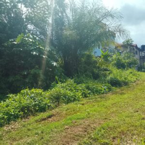 75.000 FCFA/m², terrain titré en vente au quartier CITÉ CHIRAC YASSA mail 19